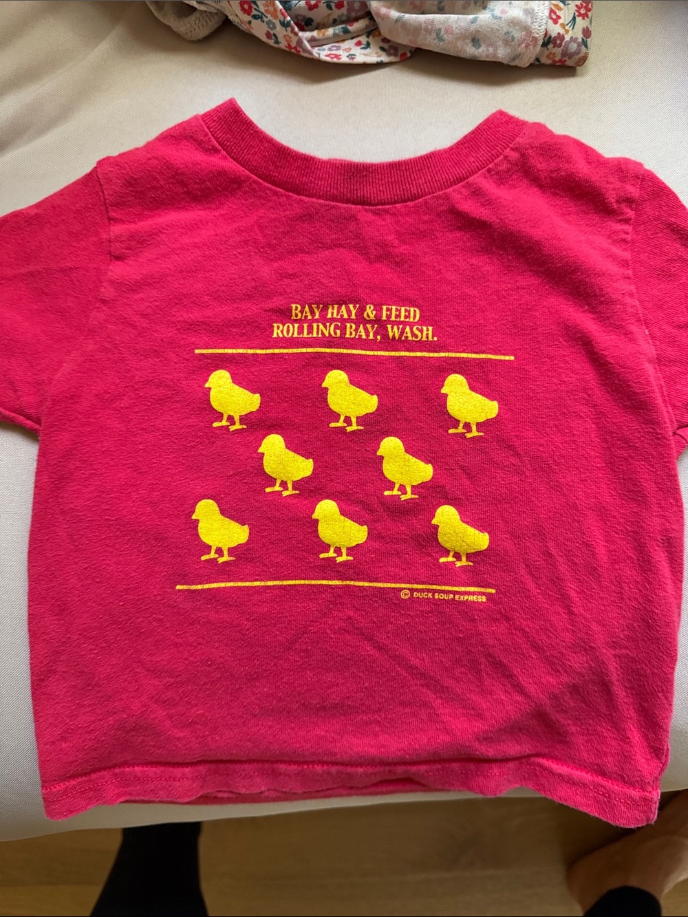 Vintage Red and Yellow Baby Chick Bay Hay & Feed Graphic Cotton T-Shirt Toddler